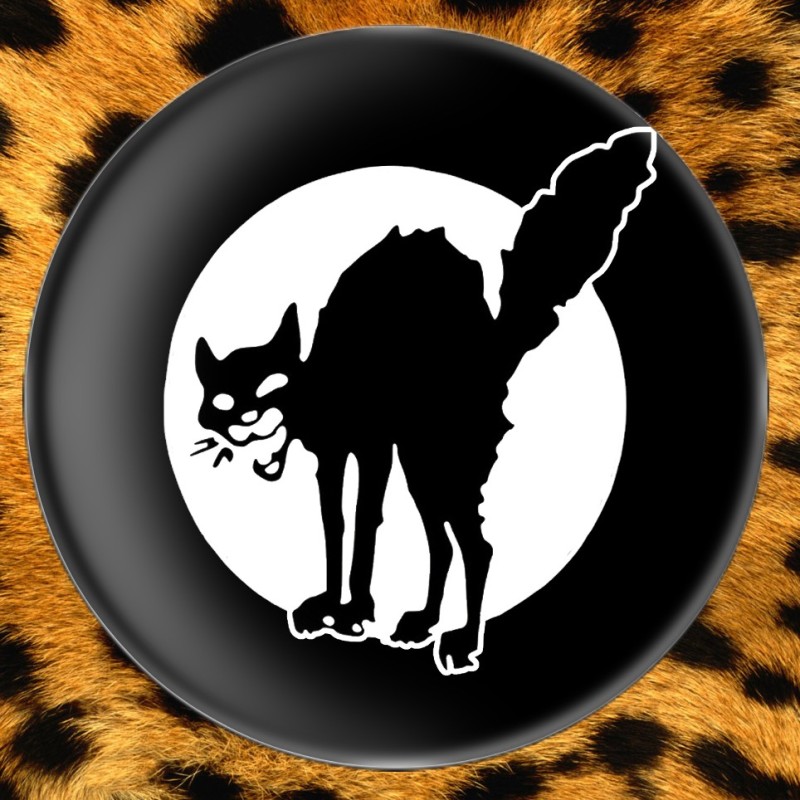 Chat Noir (noir) Chat Noir (noir)