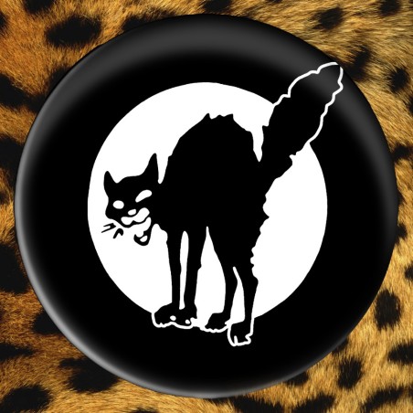 Chat Noir