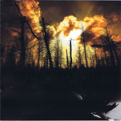 Bring to Ruin "Bring to Ruin" (CD 2012)