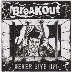 Breakout "Never Give Up" Vinyl EP 2013
