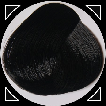 EBONY teinture cheveux LaRiché