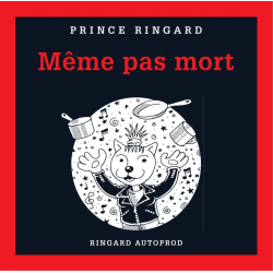 Anartisanart Les mauvais garçons font bonne impression Punk, rock et anarchiste - Distro - Prince Ringard - Même pas mort (CD 20