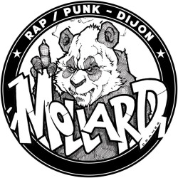 Anartisanat Punk, rock et anarchiste - Mollard - Rap/Punk from Dijon, (MAXI 45T 2024)