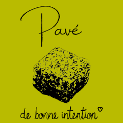 PAVÉ DE BONNE INTENTION t-shirt unisexe