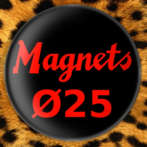 Magnets Ø25mm