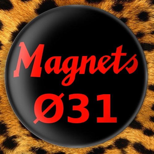 Magnets Ø31mm